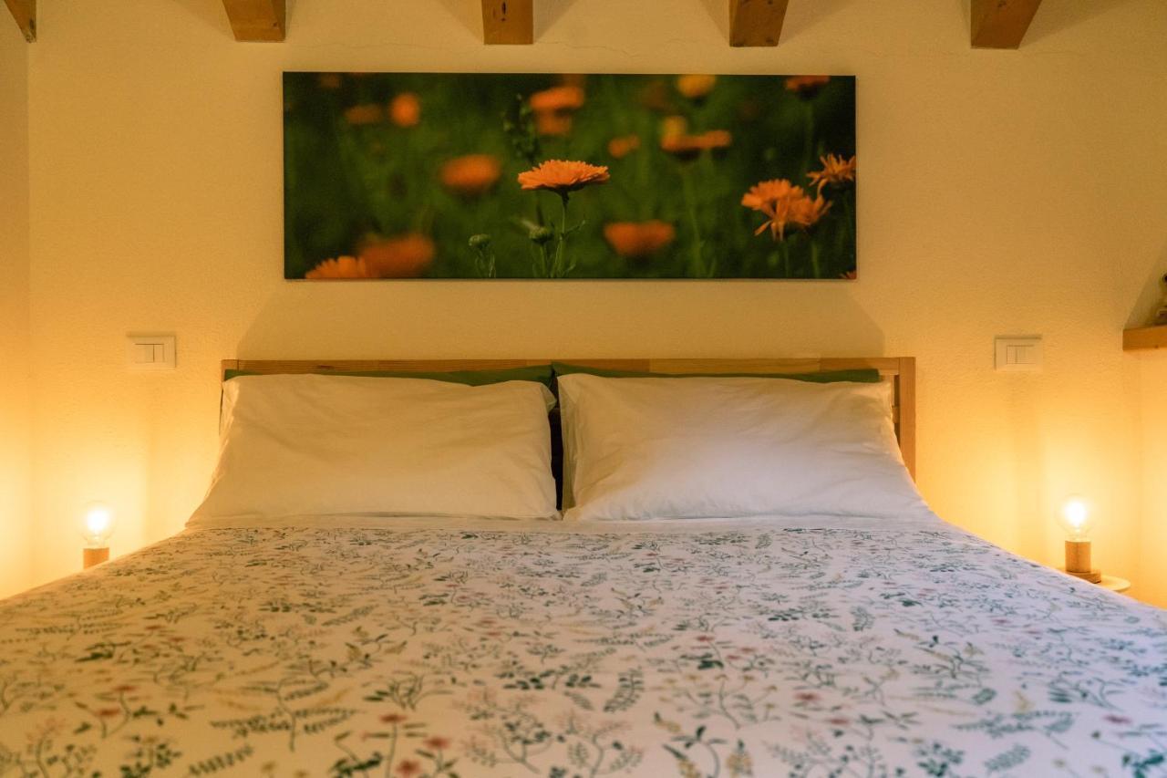 Casera Val Montina - Dolomiti Wild Perarolo di Cadore Extérieur photo